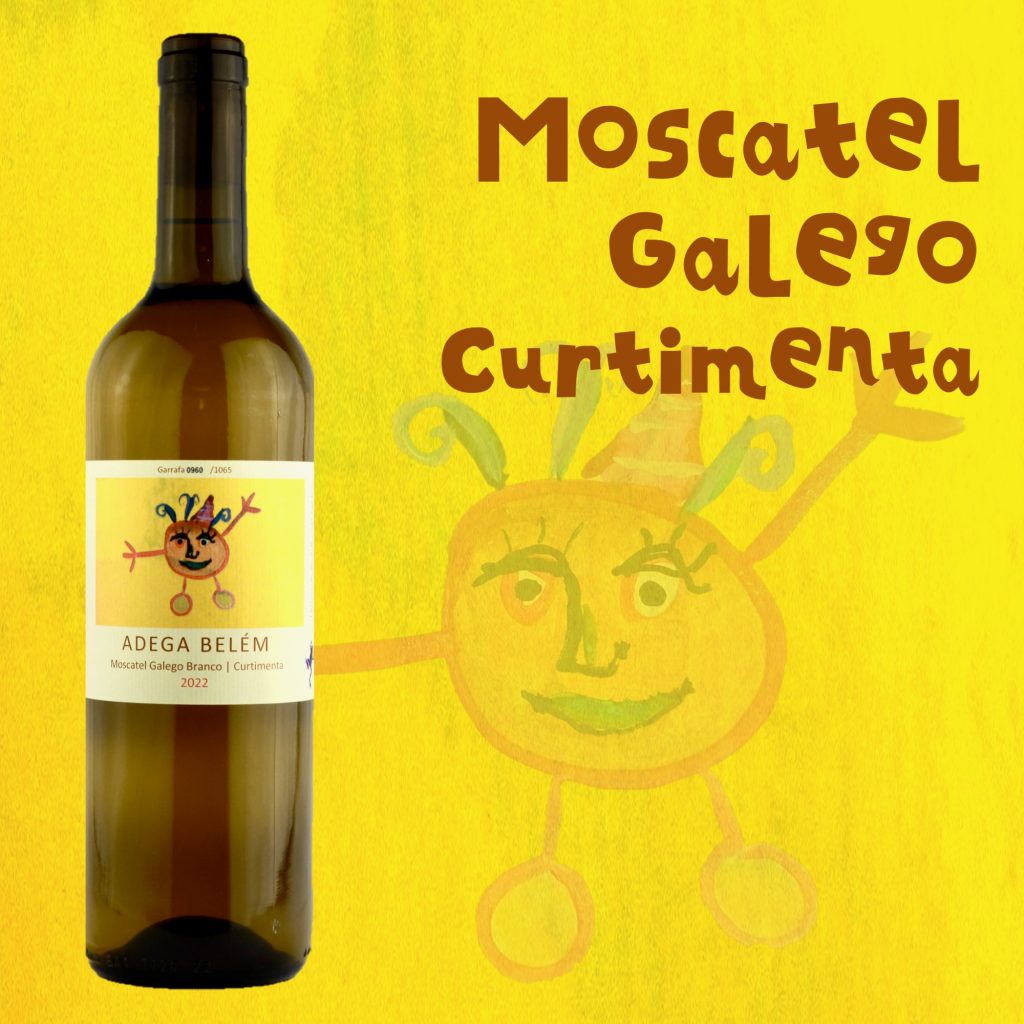 2023_galego